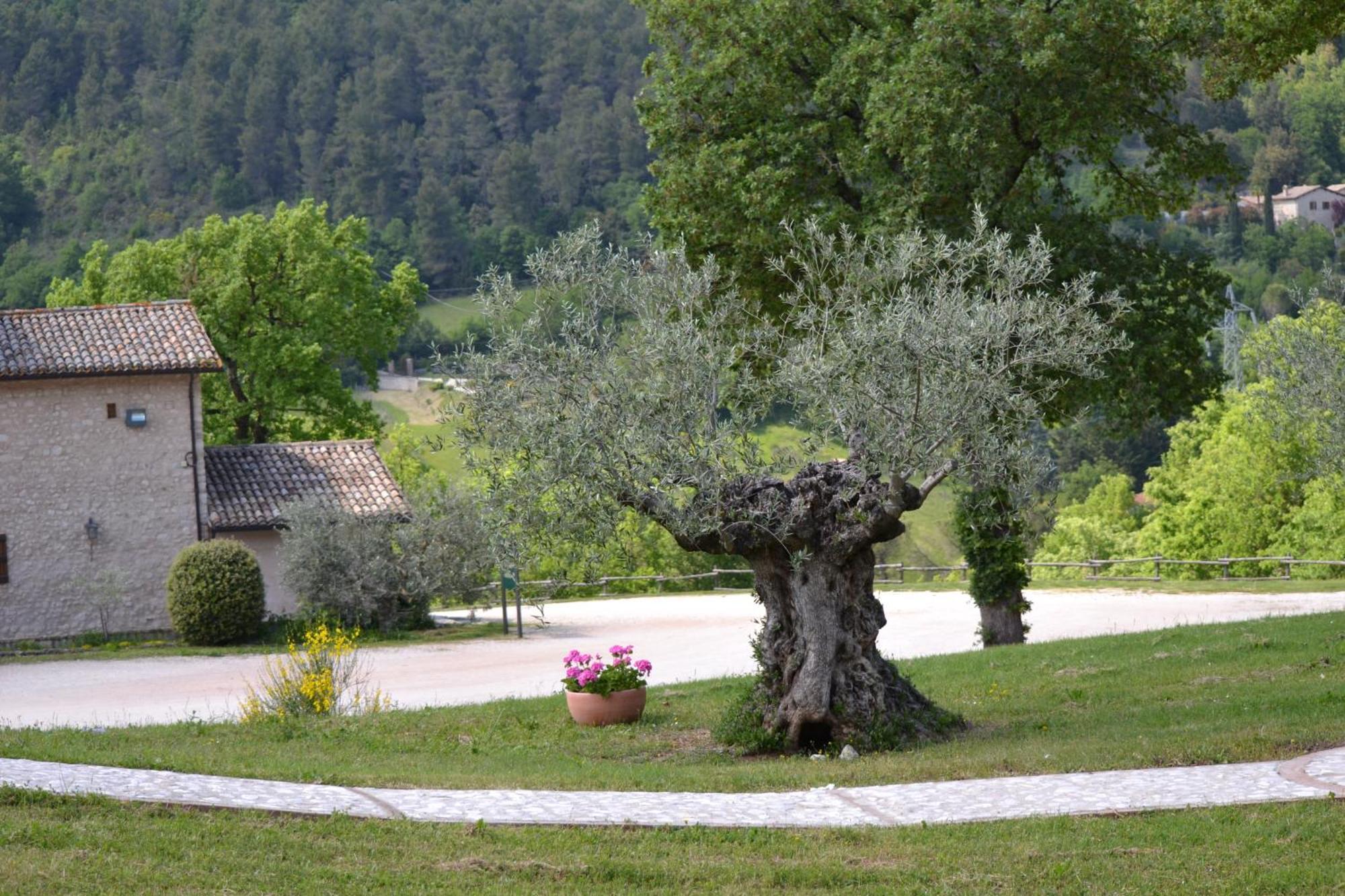 Valle Rosa Сполето Экстерьер фото